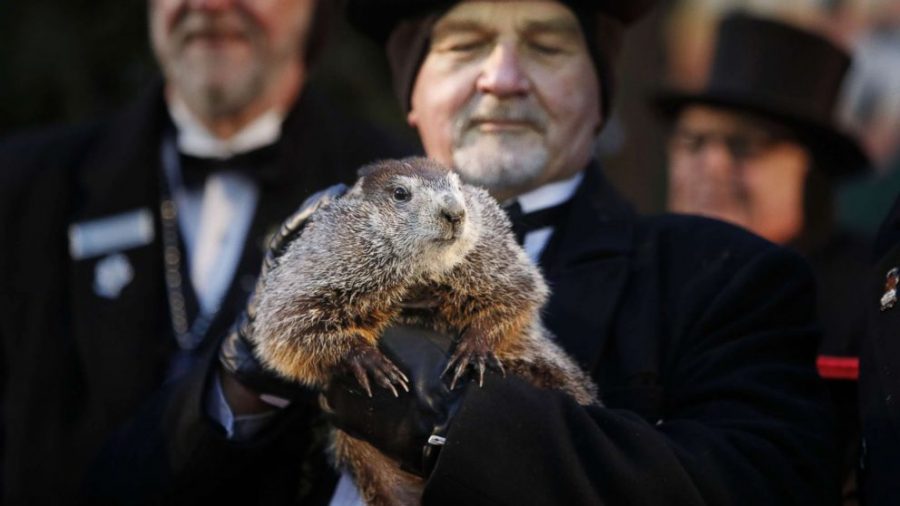 What is Groundhog Day? – Smoke Signals