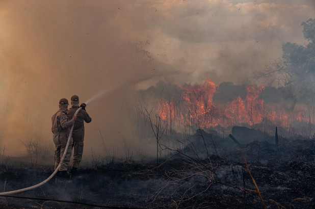 Amazon Wildfires: What Happens Now?