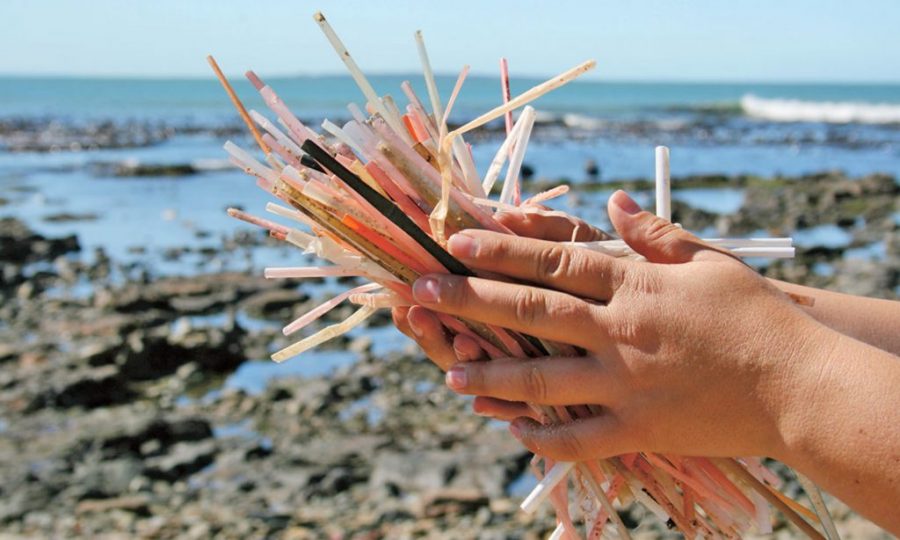 Will Getting Rid of Plastic Straws Actually Impact the Environment